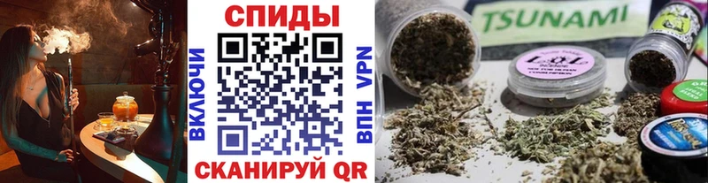 Купить  Шали  Бутират BDO 33%