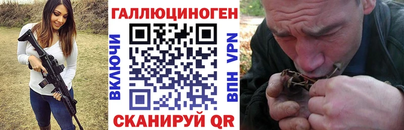 Купить  Шали  Псилоцибиновые грибы Psilocybe